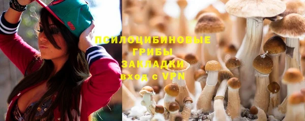 дживик Магас