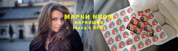 крисы Магадан