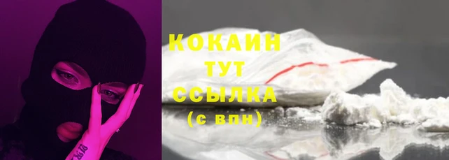дживик Магас