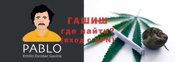 крисы Магадан