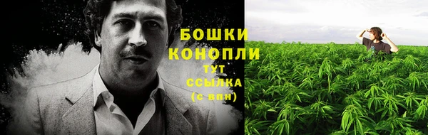 мяу мяу мука Майский