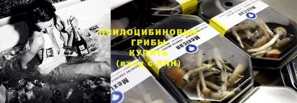 крисы Магадан